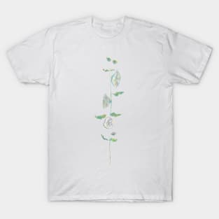 white hollyhock T-Shirt